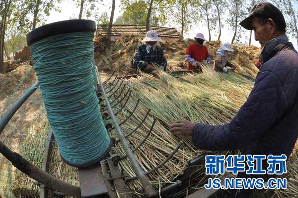 东海稻草变草帘环保又赚钱 