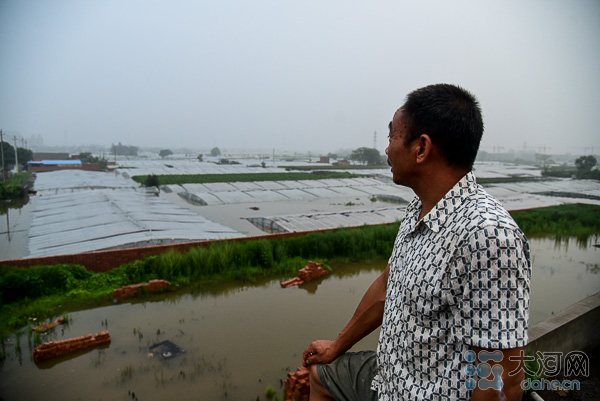 现场直击新乡暴雨：蔬菜大棚几乎没顶 收成要泡汤了